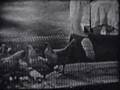 Linoleum (excerpt) Robert Rauschenberg
