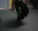 another dizzy shuffle