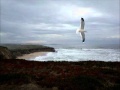 Tatarsky Bay - RonGerhardtMusic