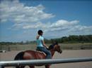 River-best horse ever....