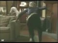 Holla Back Girl-Sam McCall