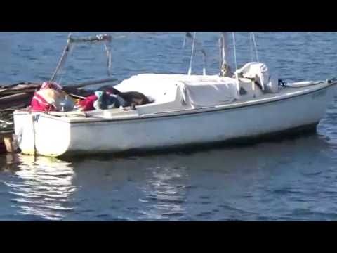 junk homeless oakland