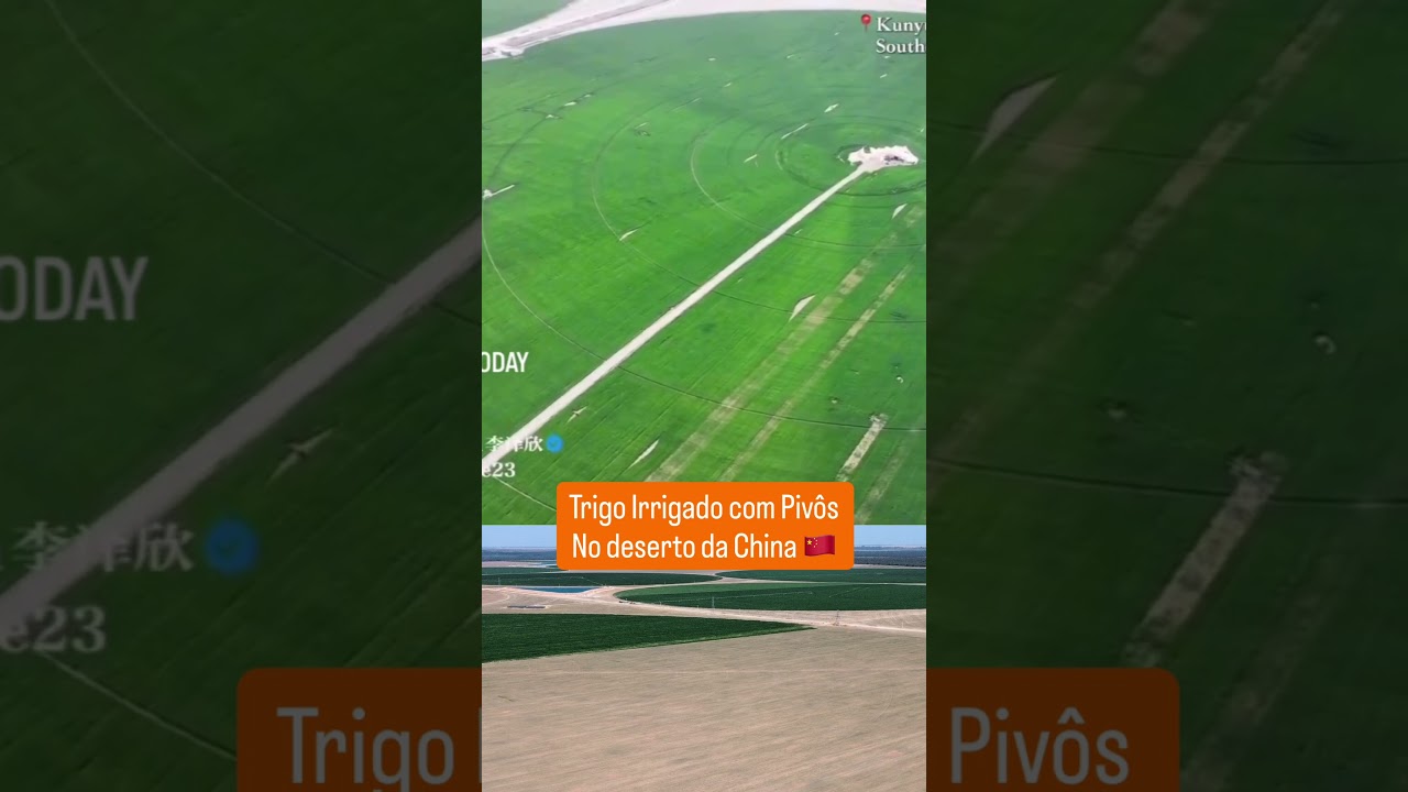 Pivô no deserto chinês