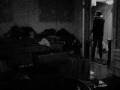 videos de The Chip Face