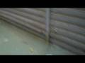 videos de 1-12-2008 160 cm acqua alta eccezionale venezia 3.MOV
