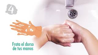 Lavado de Manos