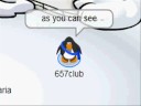 Club Penguin- News Club Penguin- News