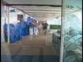 Freedom of the Seas Walkthrough