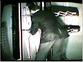 Zig Zag Magic illusion 1991 Young James Wiggs & Father - Home Movie vintage 1991 doing the ZIG ZAG Magic illusion