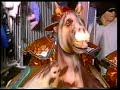 South Philadelphia String Band 2001- Yippie Ki Yea! Cowboy! South Philadelphia String Band 2001- Yippie Ki Yea! Cowboy!