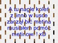 Przygodowe expienie w Metinie Przygodowe expienie w Metinie