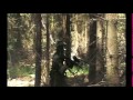 14.07.07 Woodland Gotcha & BBQ - Veckring Teaser