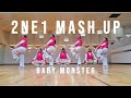 2NE1 MASHUP - BABY MONSTER Cover by PYXLIGHT