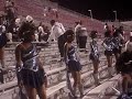 HUNTINGTON HIGH SCHOOL (FLAG LINE) SHIMMERY FLAGS