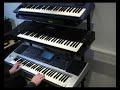 Snikhaas-korgPA50-Goldmarie-polka.avi