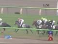 2008年11月16日 東京4R 障害未勝利 ノースフォンテン