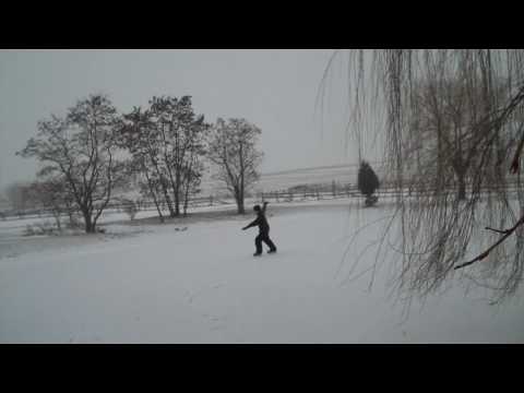 2010 Beekman Skating Championship