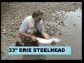 33 ERIE STEELHEAD september 08