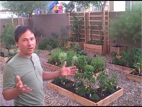 how to start a vegetable patch