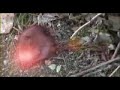 Ote & Etoo - Ratata-K