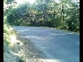 Beuron n�11
