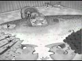 Ver Video