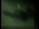 reel 2008