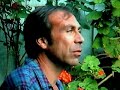 Taylor Negron video 2