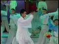 Chinese Kungfu - TaiChi 中國武術表演 - 太極 行云流水