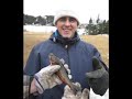 komatik2wmv