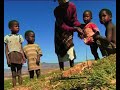 MaximsNewsNetwork: LESOTHO CHILD GRANTS UNICEF & EU