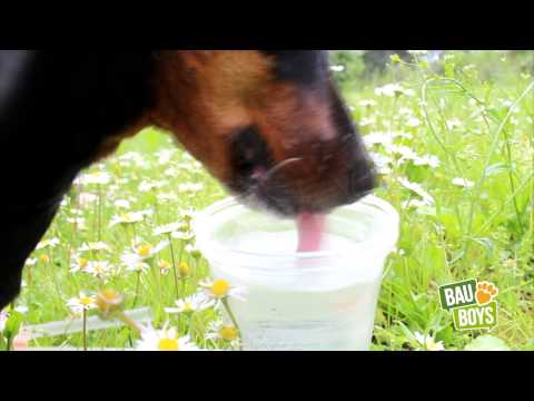 Vedi il video