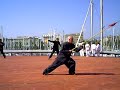 Lanza Estilo Chen