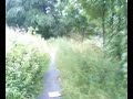 Linwood riverside walk