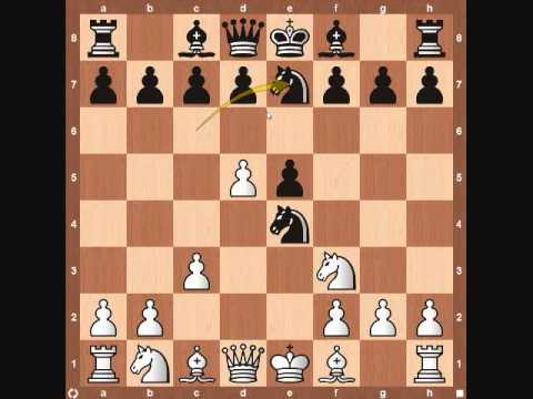 chess chess