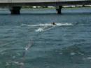 me ttrryyin to wakeboard!..hahha me ttrryyin to wakeboard!..hahha