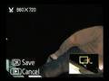 Nikon D80 digital SLR video review