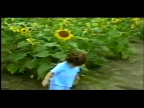 Caylee's Hope - Stop Leukemia Promo