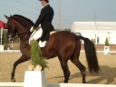 Campeonato de España doma clasica 2