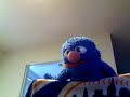 All The Small Things: Blink 182 (Sung By A Very Small Sock)