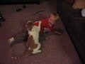 Cat vs Kid - You want a piece of me?