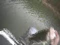 4 fish for almost 30lbs