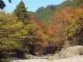 Autumn Akigawa