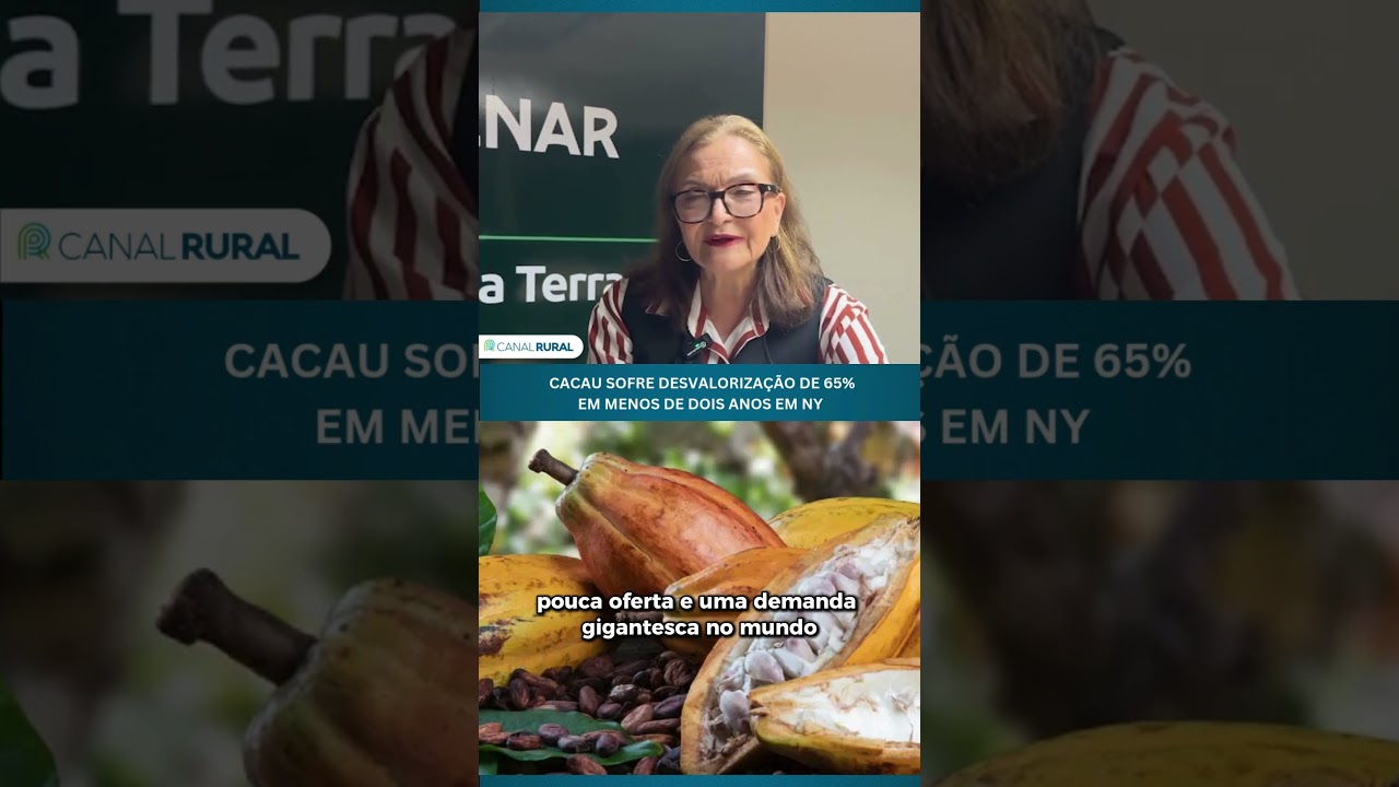Cacau sofre desvalorização de 65% em menos de dois anos em NY