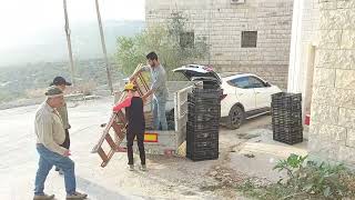 Qira, Palestine  قرية قيرة