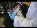 Ohio U Forensic Chemistry Lab, Gun Shot Residue Analysis