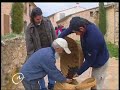 Alm�ssera Turballos