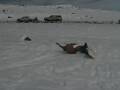 videos de mauna kea