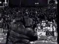 levski hooligans front A.C.A.B levski hooligans front A.C.A.B