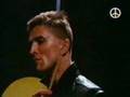 DAF - Greif nach den Sternen